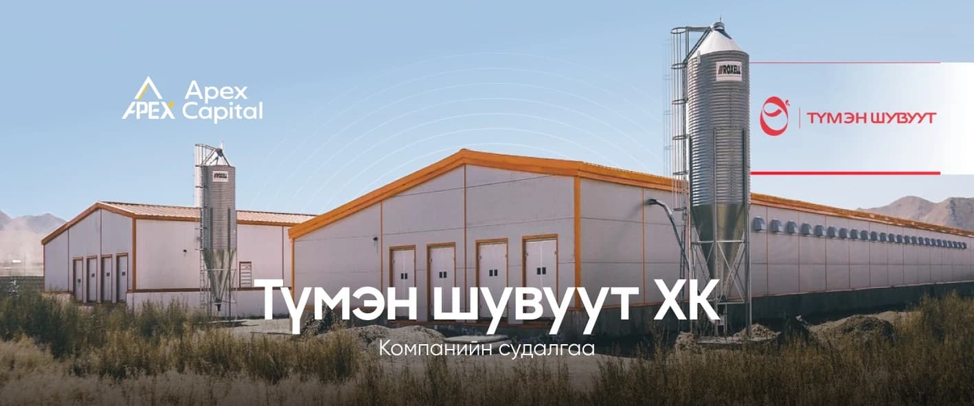 "Түмэн Шувуут" ХК: Компанийн судалгаа